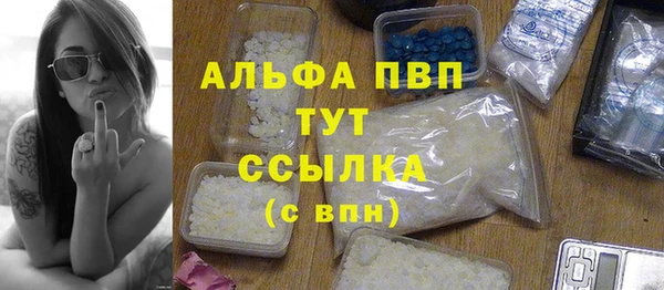 СК Аркадак
