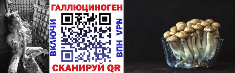 mega как зайти  Вольск  Псилоцибиновые грибы мухоморы 