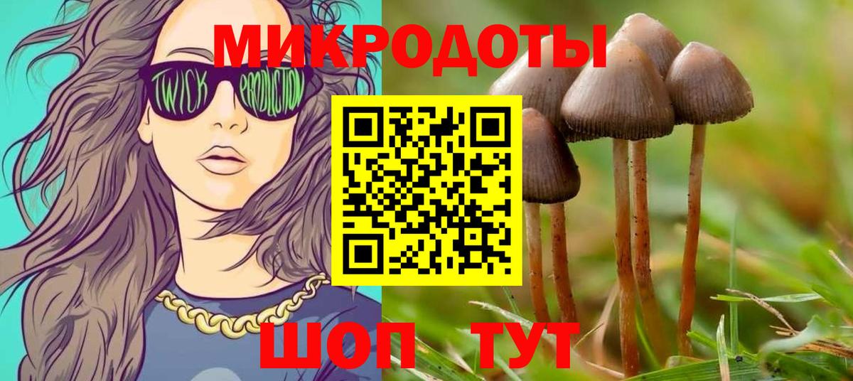 Псилоцибиновые грибы прущие грибы  Псилоцибиновые грибы мухоморы  Вход с VPN  Вольск 